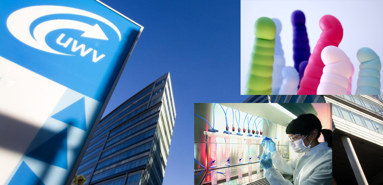 Vacature seksspeeltjestester geschrapt door Zweeds UWV